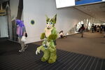 DSC_8987.JPG